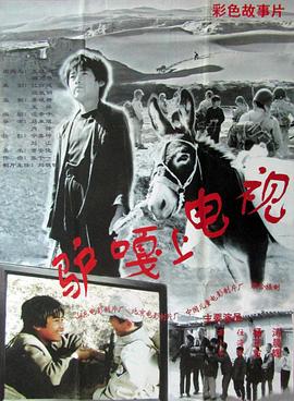 驴嘎上电视HD中字